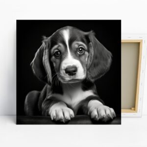 Border Collie Puppy Art