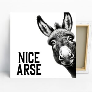 Donkey Art