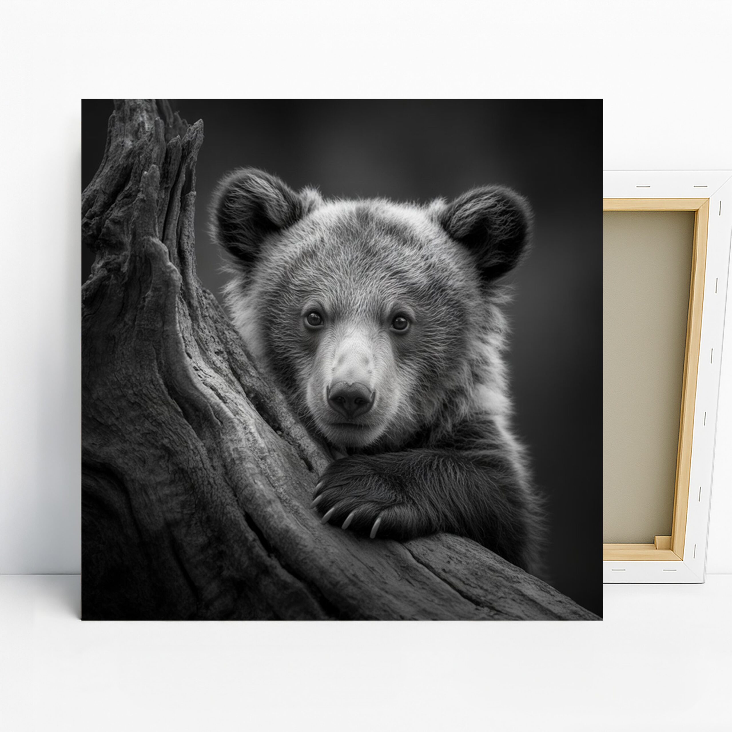 Bear Cub Art, Canvas or Poster, Animal Nature Rustic Decor, Living Room Bedroom Nursery Office Wall Art, Black White Grey Brown