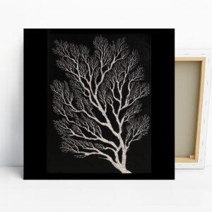 Bare Tree Silhouette Art
