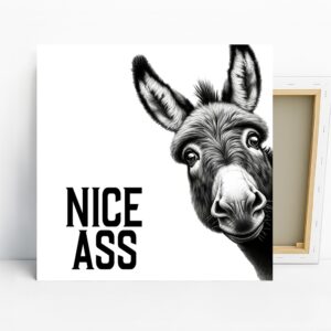 Donkey Art