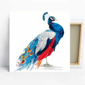 Peacock Art