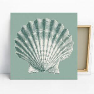 Seashell Art