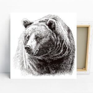 Bear Portrait Art