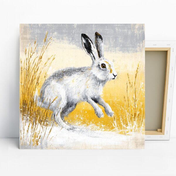 Rabbit Art