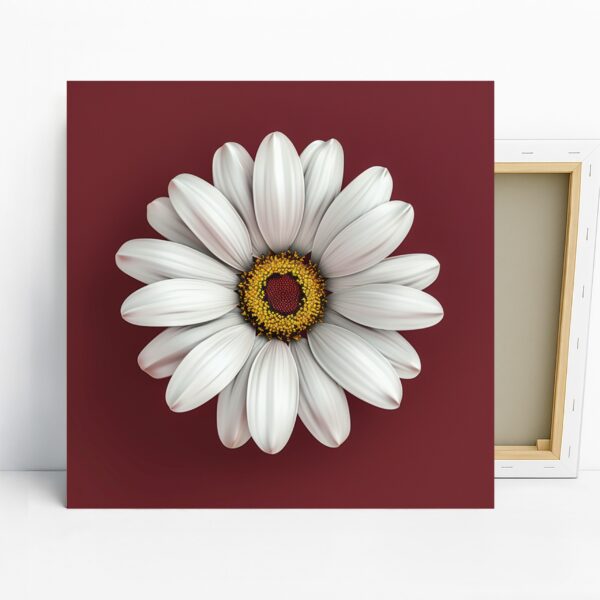 White Daisy Art
