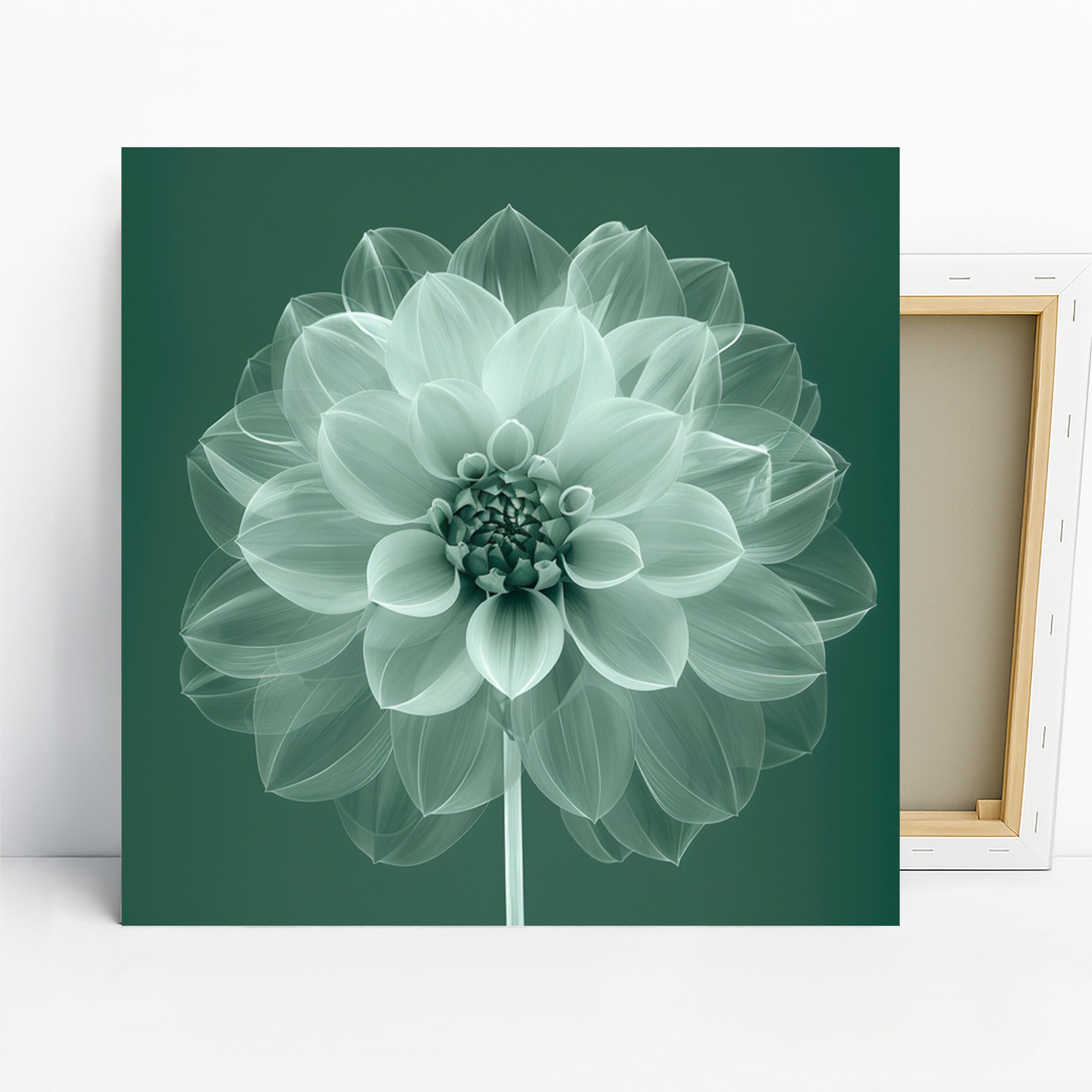 1.jpg Dahlia Bloom Art
