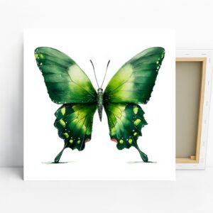 Butterfly Art