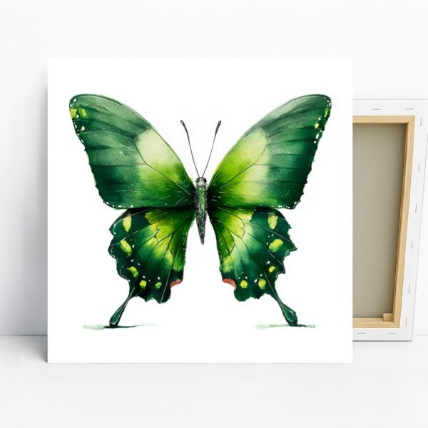 Butterfly Art