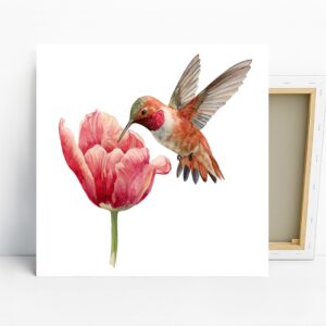 Hummingbird Tulip Art
