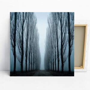 Misty Forest Path Art