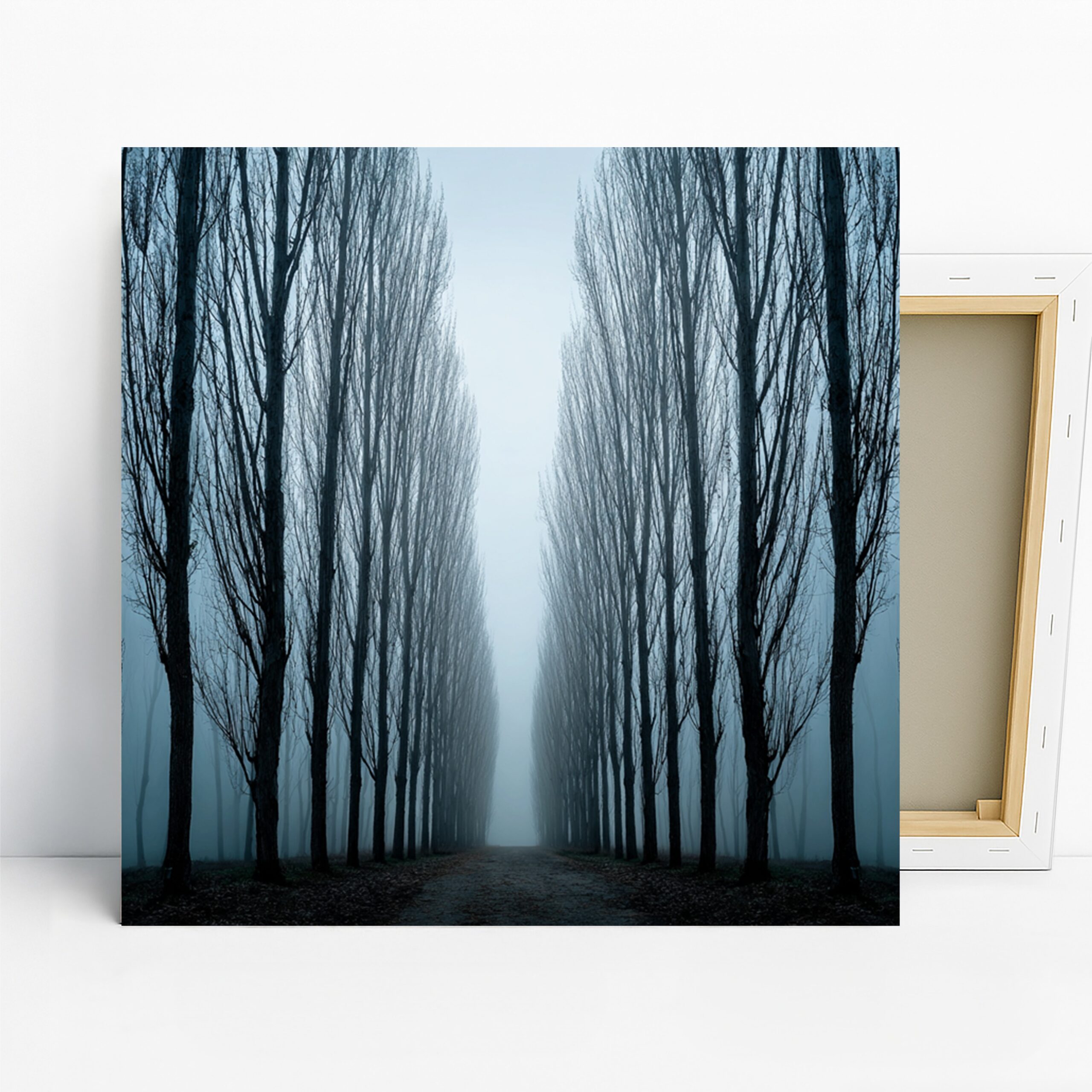 1.jpg Misty Forest Path Art