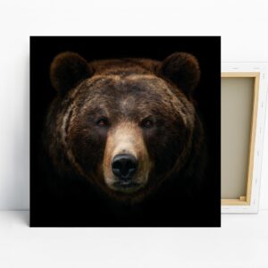 Bear Face Art