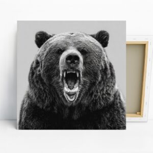Bear Art