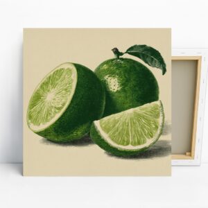 Lime Zest Art
