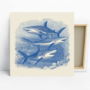Shark Trio Art
