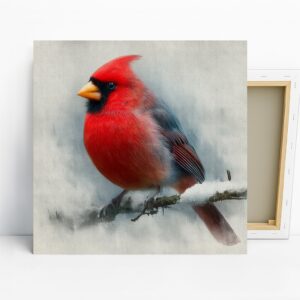 Cardinal Bird Art