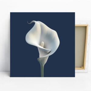 Calla Lily Art