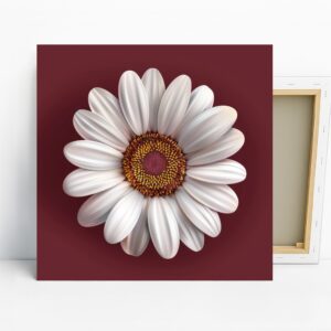 Daisy Art