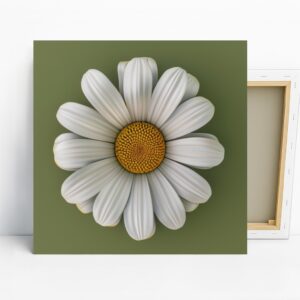Daisy Art