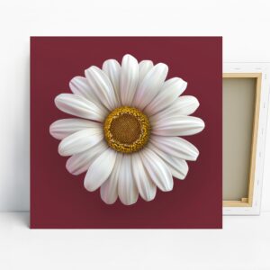 Daisy Art