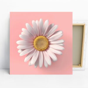 Daisy Flower Art