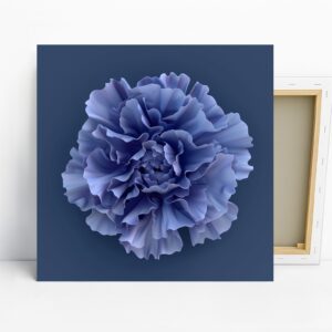 Blue Carnation Art