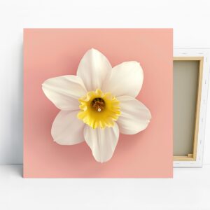 Daffodil Bloom Art