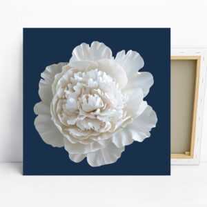 White Peony Bloom Art