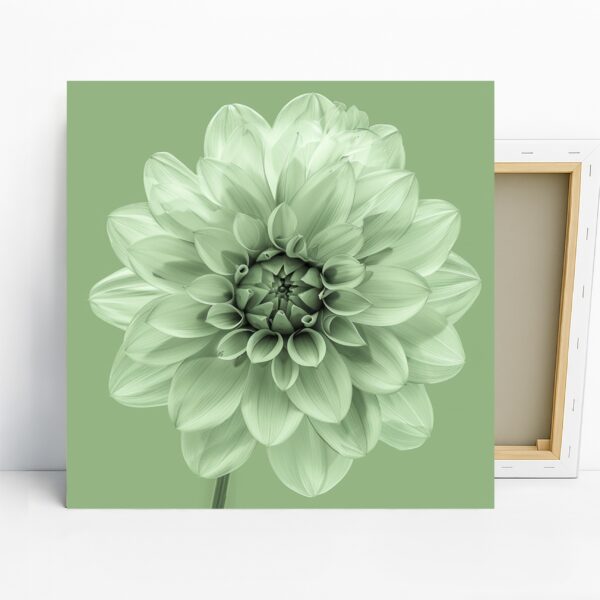 Dahlia Art