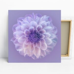 Dahlia Bloom Art