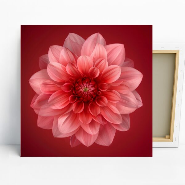 Dahlia Art