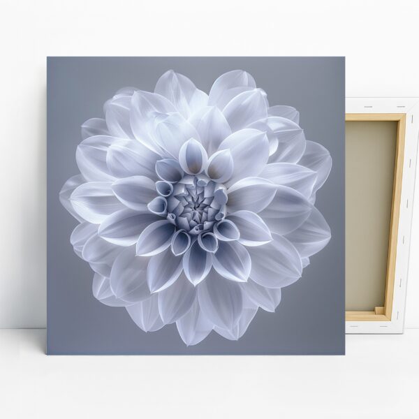Dahlia Art
