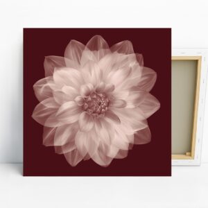 Dahlia Art