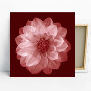 Dahlia Flower Art
