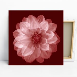 Dahlia Flower Art