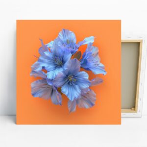 Delphinium Art