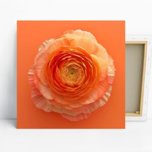 Orange Ranunculus Bloom Art