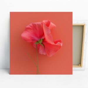 Sweet Pea Bloom Art
