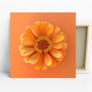 Zinnia Art