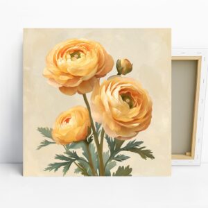 Ranunculus Blooms Art