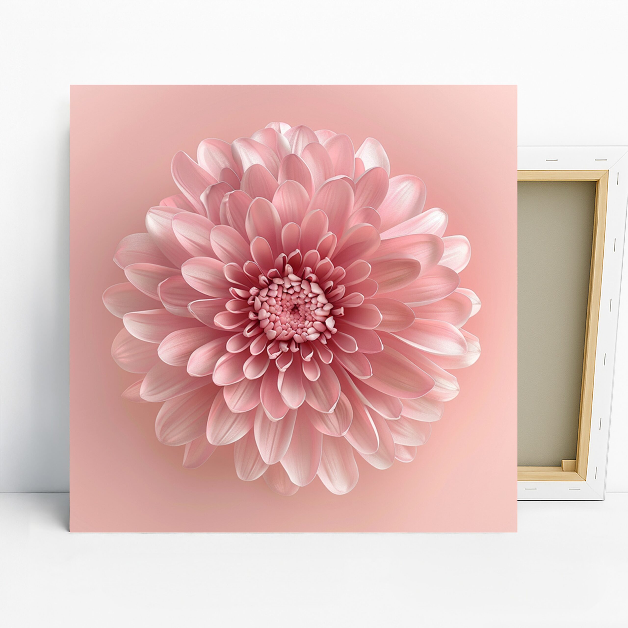 1.jpg Pink Chrysanthemum Blossom Art