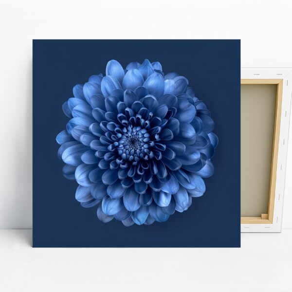 Dahlia Art
