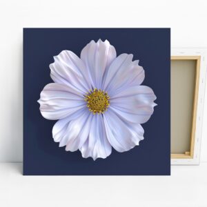 Cosmos Flower Art