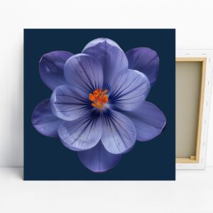 Crocus Bloom Art