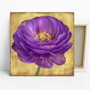 Ranunculus Flower Art