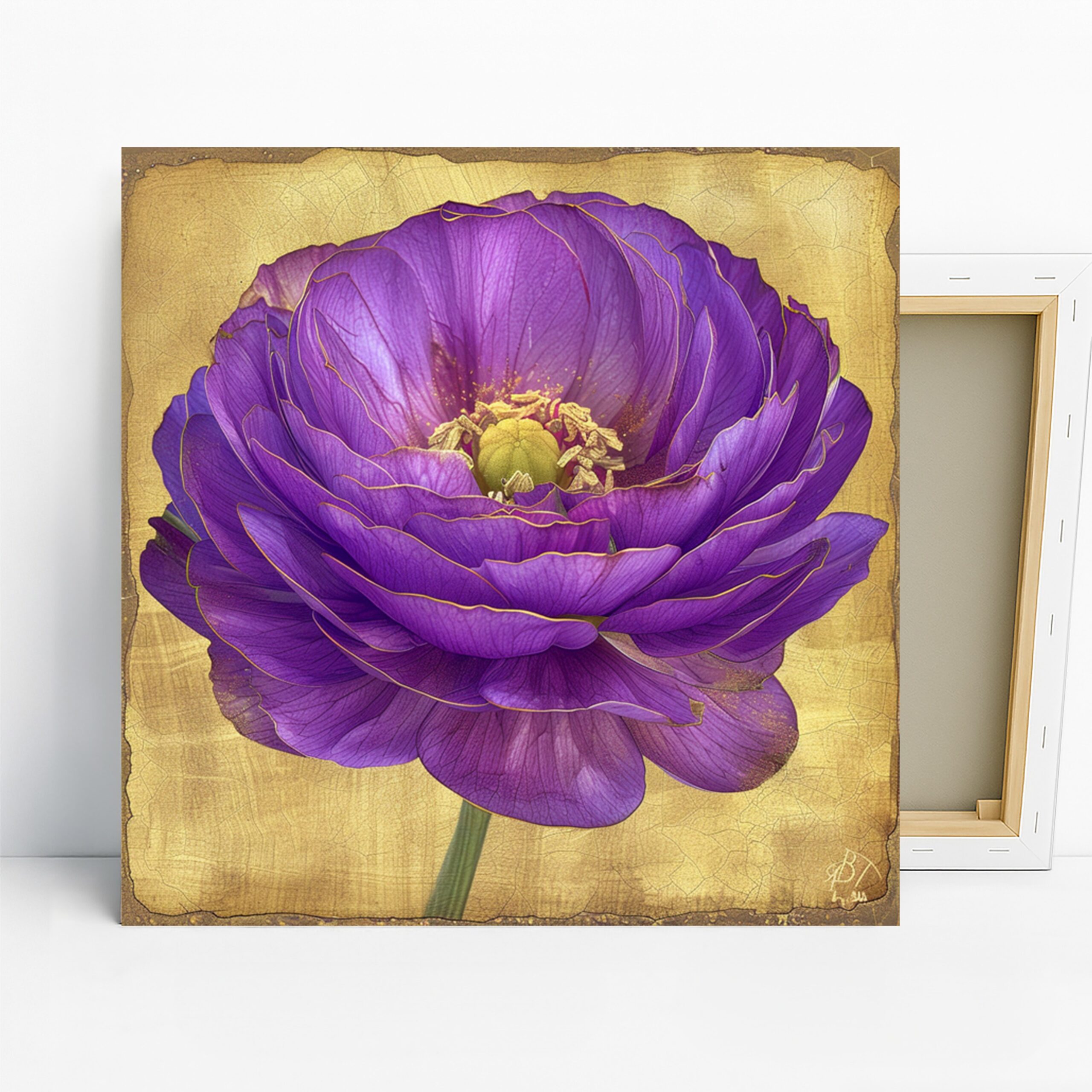 1.jpg Ranunculus Flower Art