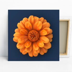 Zinnia Art