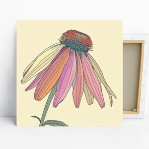 Coneflower Art