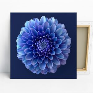 Dahlia Art